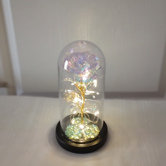 Beautiful Rose Gift - Picture 5 of 8